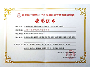 绽放杯特色项目奖
