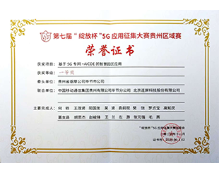 绽放杯一等奖