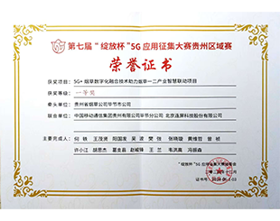 绽放杯一等奖